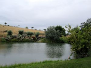 Falcon Crest Bridge