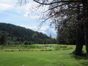 Idaho Club 1st Tree