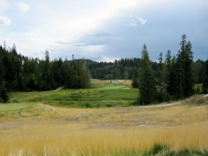 Idaho Club 7th Fescue