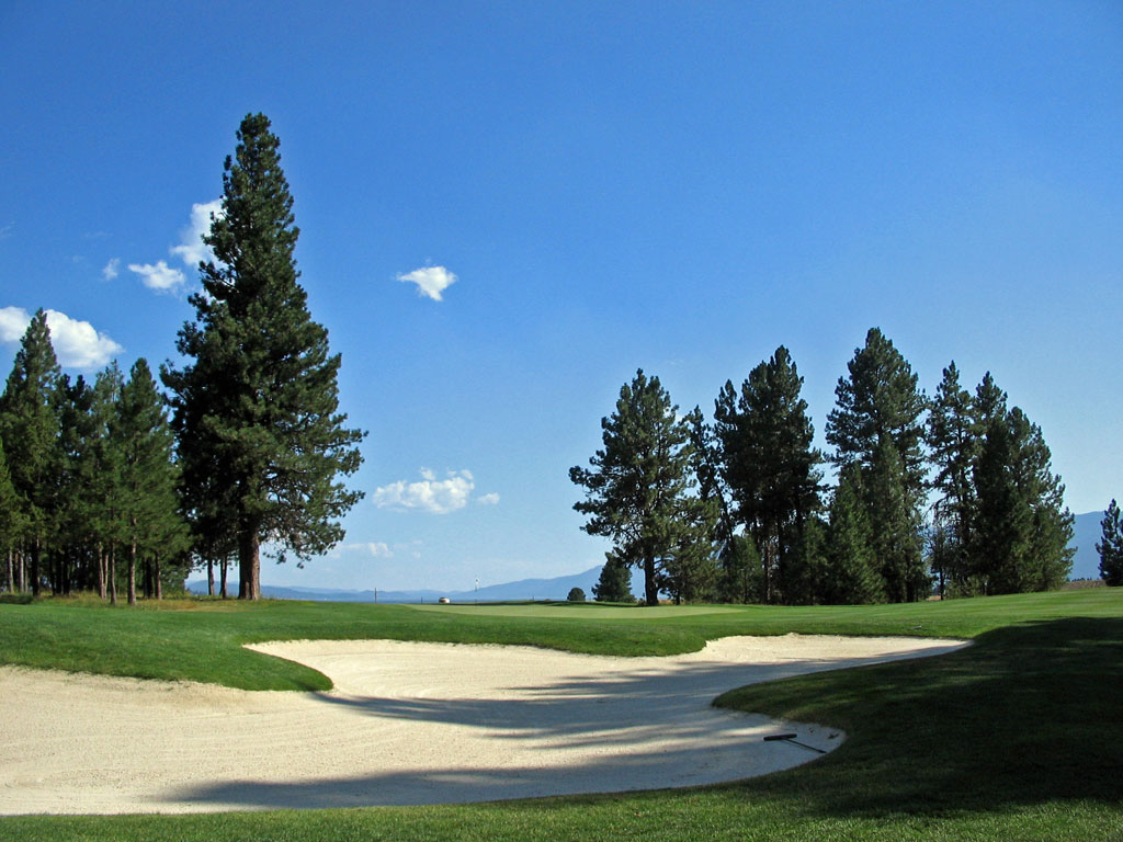 Osprey Meadows at Tamarack