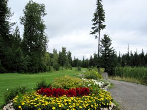 Priest Lake 13th Flowers