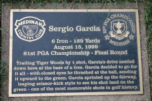 Medinah (No. 3) 16th Sergio