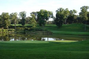 Medinah (No. 3) 17th Back