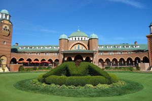 Medinah (No. 3) Bushes