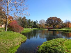 Crooked Stick 6th Side