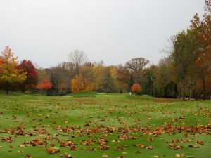 Sycamore Hills 17th Fairway