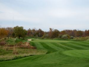 Victoria National 1st Fescue