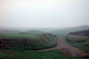 County Louth 4th Fog