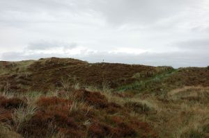 Royal County Down 11th Hill