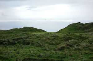 Trump Doonbeg 5th