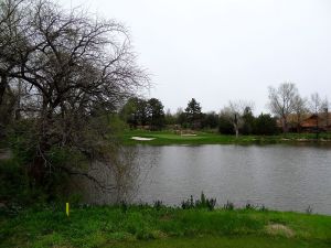 Flint Hills 10th Tree