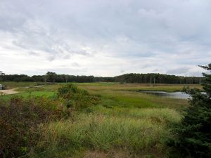 Kittansett 4th Fescue