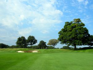 The Country Club (Brookline) 2nd Tree