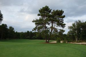 Forest Dunes 13th Fairway