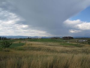 Black Bull 9th Fescue