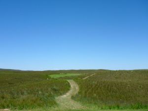 Sand Hills 12th