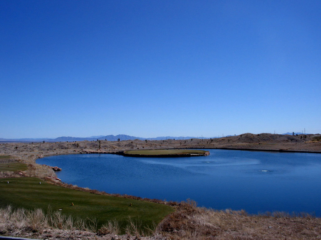 Paiute (Wolf)