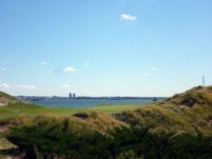 Bayonne 12th Fescue