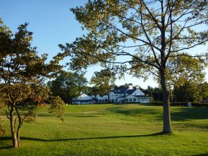 Plainfield Clubhouse Tree