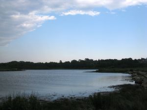 Fishers Island 14th Cape