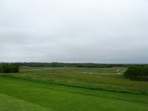 Shinnecock Fescue