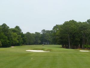 Cape Fear CC 8th