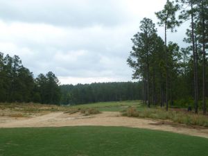 Dormie 4th Tee