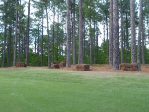 Forest Creek (South) Pine Bails