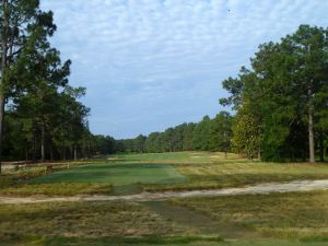 Pine Needles 15th