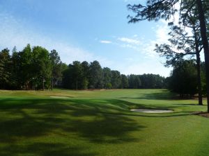 Pine Needles 18th Back