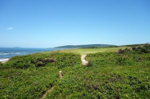 Cabot Links 16th Scrub