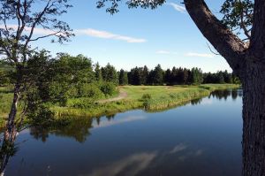 Highlands Links 3rd Tree