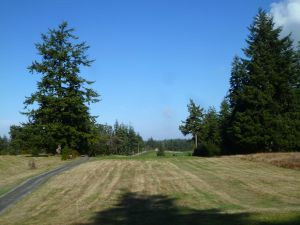 Bandon Crossings 13th Tee