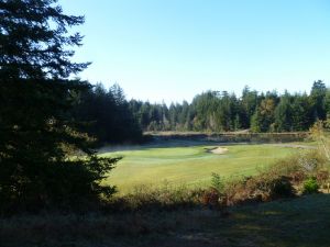 Bandon Crossings 5th Tree