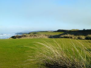 Bandon Dunes 6th Plant