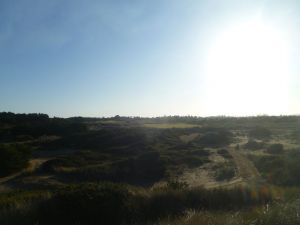 Bandon Dunes 7th Tee