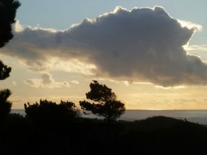 Bandon Dunes Evening