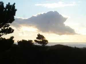 Bandon Dunes To Bandon Preserve