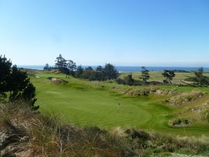 Bandon Preserve Green