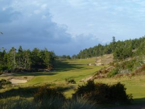 Bandon Trails 16th Bushes