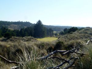 Bandon Trails 2nd Fence