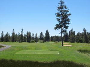 Crosswater 15th Fescue Tee