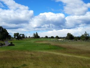 Juniper 1st Fescue