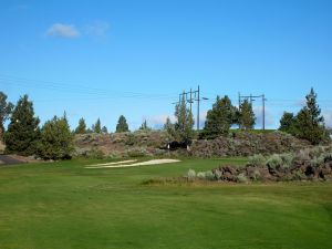 Juniper 5th Green