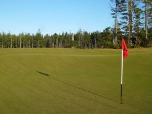 Old Macdonald 18th Green