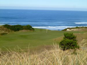 Pacific Dunes 10th Tree