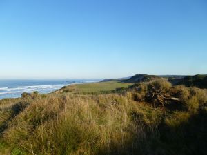 Pacific Dunes 13th Fescue