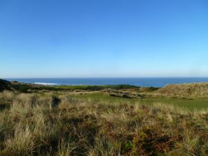 Pacific Dunes 5th Fescue