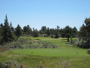 Pronghorn (Fazio) 16th