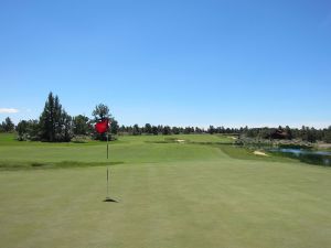 Pronghorn (Fazio) 18th Back